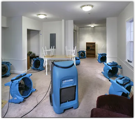 Leak Detection & Repair in Kenmore, WA