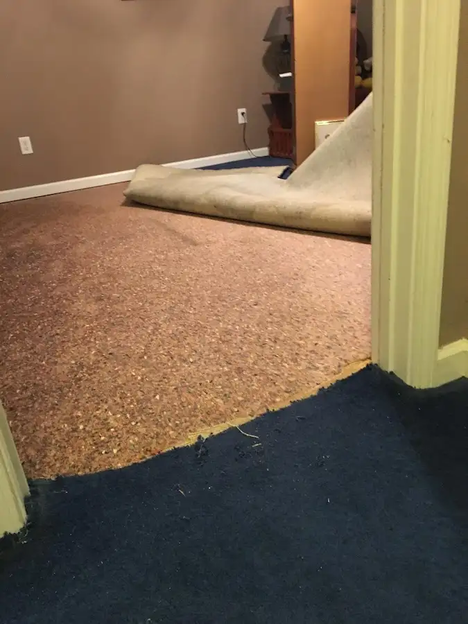 Carpet pad removal revealing water damage during Water Mitigation Services in Kenmore